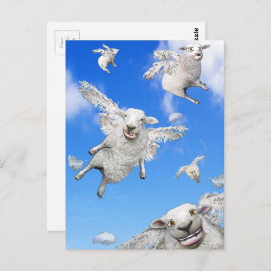 FLYSCHE 2 POSTKARTE (Vorne/Hinten)