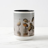 Flyway-Reflection: Sandhügel Zweifarbige Tasse (Mittel)
