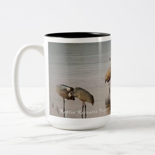 Flyway-Reflection: Sandhügel Zweifarbige Tasse (Links)