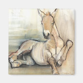 Foal 2012 magnet (Vorne)