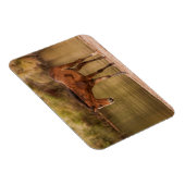 Foal am Fluss Magnet (Rechte Seite)