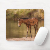 Foal am Fluss Mousepad (Mit Mouse)