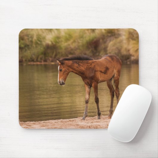 Foal am Fluss Mousepad (Mit Mouse)