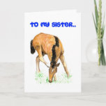 'Foal' Birthday Card for Sister Karte<br><div class="desc">A Birthday Card for a sister with a foal design on the front,  from a watercolor painting by Judy Adamson. 'Happy Birthday' inside. See also matching gifts and apparel.</div>