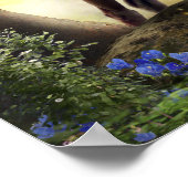 Foal Horse ENCHANTED FOREST Poster (Ecke)