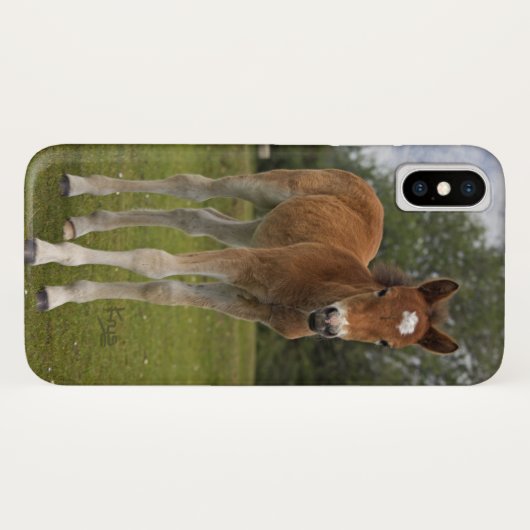 Foal iPhone X Case (Rückseite (Horizontal))