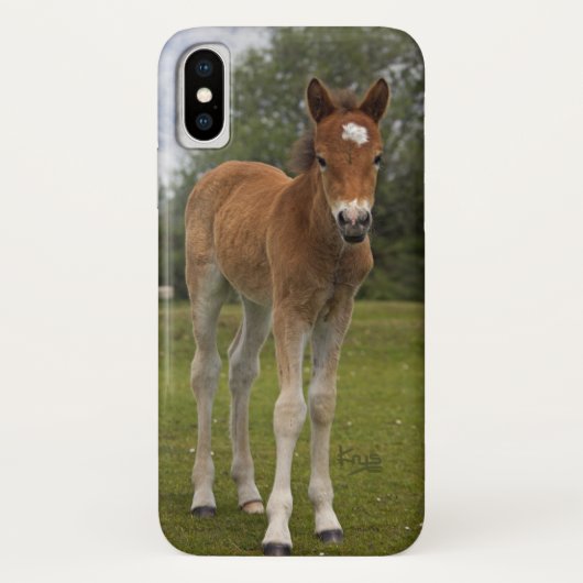 Foal iPhone X Case (Rückseite)
