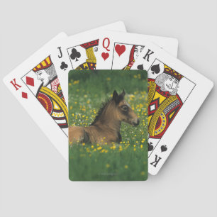 Foal Laying Down in Flowers Spielkarten
