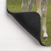 Foal Mousemat Mousepad (Ecke)