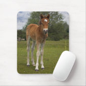 Foal Mousemat Mousepad (Mit Mouse)