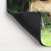 Foal Mousepad (Ecke)