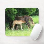 Foal Mousepad (Mit Mouse)