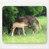 Foal Mousepad (Vorne)