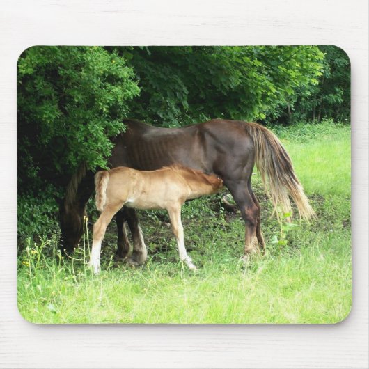 Foal Mousepad (Vorne)