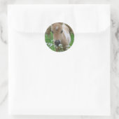 Foal Riech Daisis Aufkleber (Tasche)