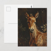 Foallenmalerei Postkarte (Vorne/Hinten)