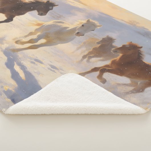 Foals at Play Sherpadecke (3/4)