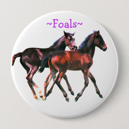 Foals Playing Pin Button (Vorderseite)