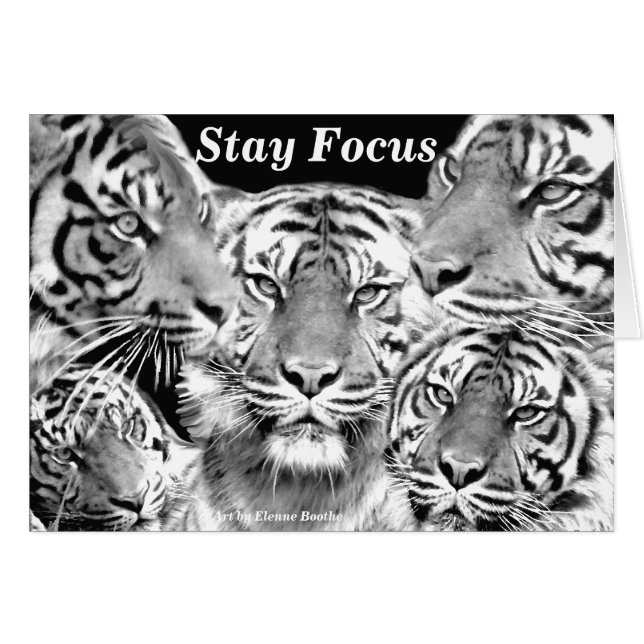 Focus_card-Produkt (Vorderseite (Horizontal))