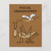 FOCUS GRASSHOPPER POSTKARTE (Vorderseite)