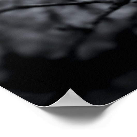 "Focus" Schwarz-Weiß-Blütenposter Poster (Ecke)