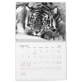 Focus & Strength_2010 Calendar-by Elenne Boothe Kalender (Feb 2027)