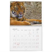 Focus & Strength_2010 Calendar-by Elenne Boothe Kalender (Jan 2026)