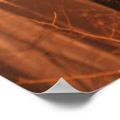 Fog in Forest Poster (Ecke)