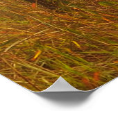 Fog in pine forestforest, beautiful, black, dark, poster (Ecke)