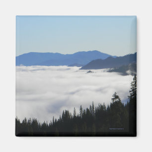 Fog-See.... Magnet
