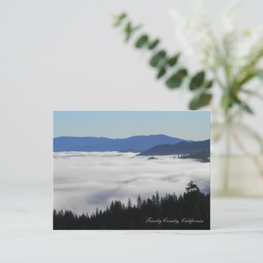 Fog-See... Postkarte (Stehend Vorderseite)