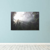 Fog & Sun Beams in einem Wald in Washington Leinwanddruck (Insitu (Holzboden))