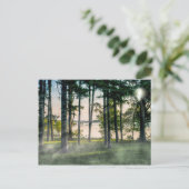 Foggie Bäume am Tisch Postkarte (Stehend Vorderseite)