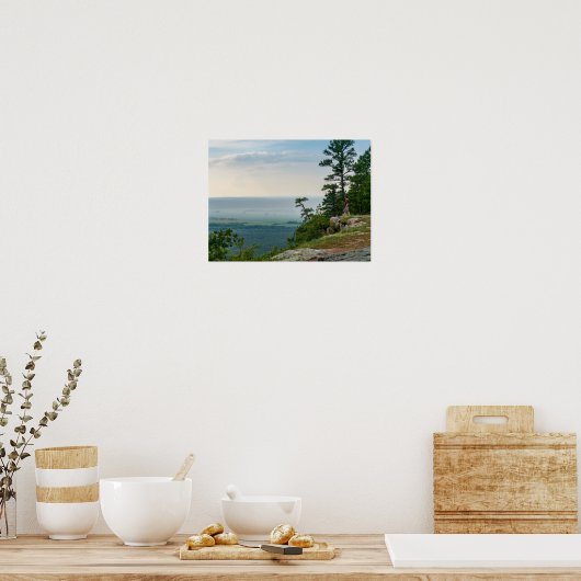 Foggy at Petit Jean Poster (Küche)