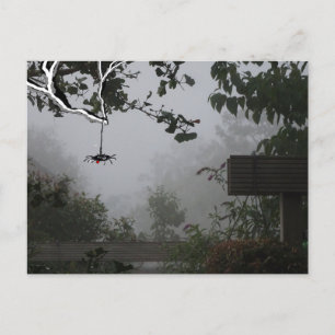 Foggy Autumn Garden mit Spider DIY Postcard Postkarte