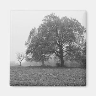 Foggy Autumn Morning Grauscale Magnet