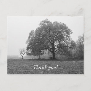 Foggy Autumn Morning Grauscale Postkarte