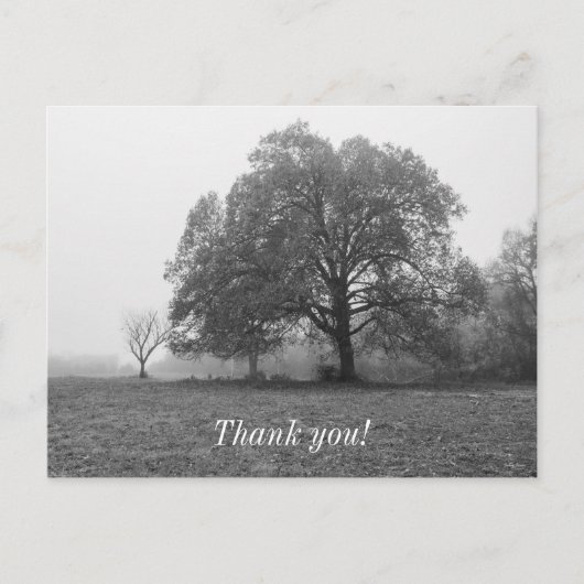 Foggy Autumn Morning Grauscale Postkarte (Vorderseite)