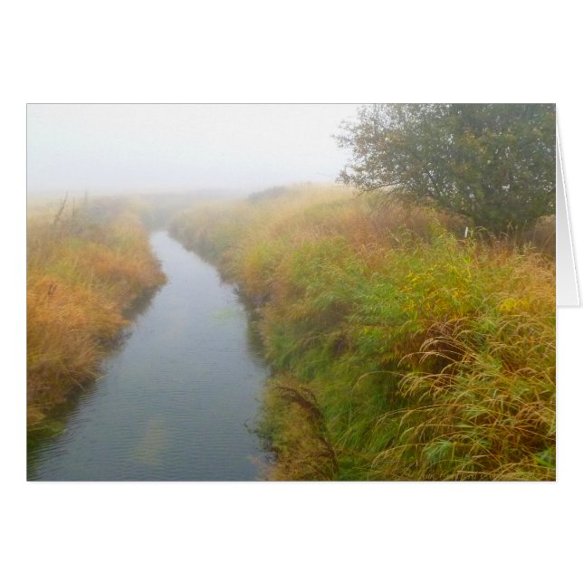 Foggy Bach 2 (Vorderseite (Horizontal))