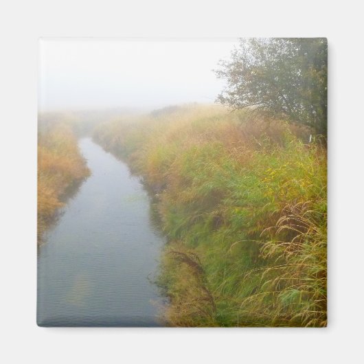 Foggy Bach 2 Magnet (Vorne)