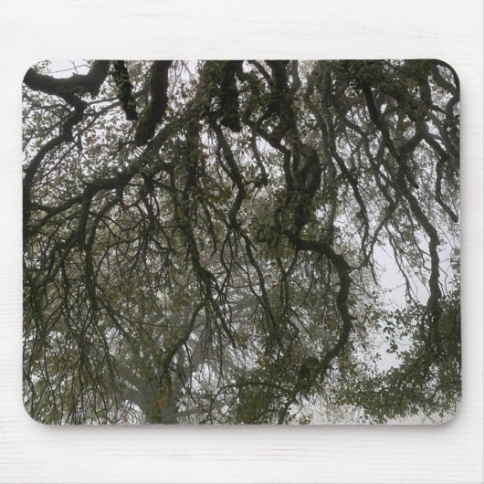 Foggy Blue Oaks Mousepad (Vorne)