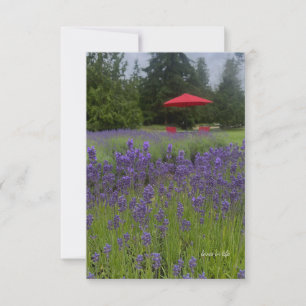 Foggy Day, Lavenders & Red Umbrella Mitteilungskarte