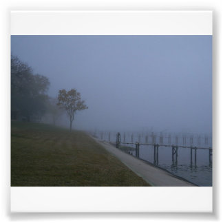 Foggy Day Tree Foto Print