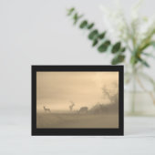 Foggy Elk Family Postkarte (Stehend Vorderseite)