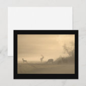Foggy Elk Family Postkarte (Vorne/Hinten)