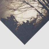 Foggy Fall Abend Seidenpapier (Ausschnitt)