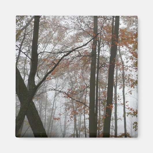 Foggy Fall in Pennsylvania Herbst Natur Magnet (Vorne)