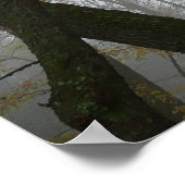 Foggy Fall in Pennsylvania Herbst Natur Poster (Ecke)