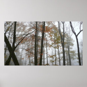 Foggy Fall in Pennsylvania Herbst Natur Poster