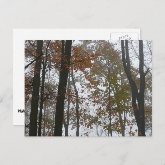 Foggy Fall in Pennsylvania Herbst Natur Postkarte (Vorne/Hinten)